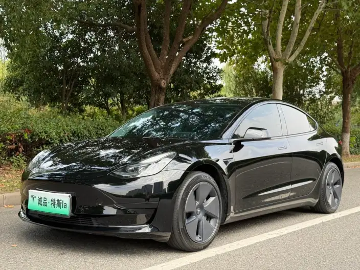 Model 3 2022 Model Rear-wheel drive version – фото 1