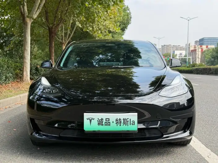 Model 3 2022 Model Rear-wheel drive version – фото 2