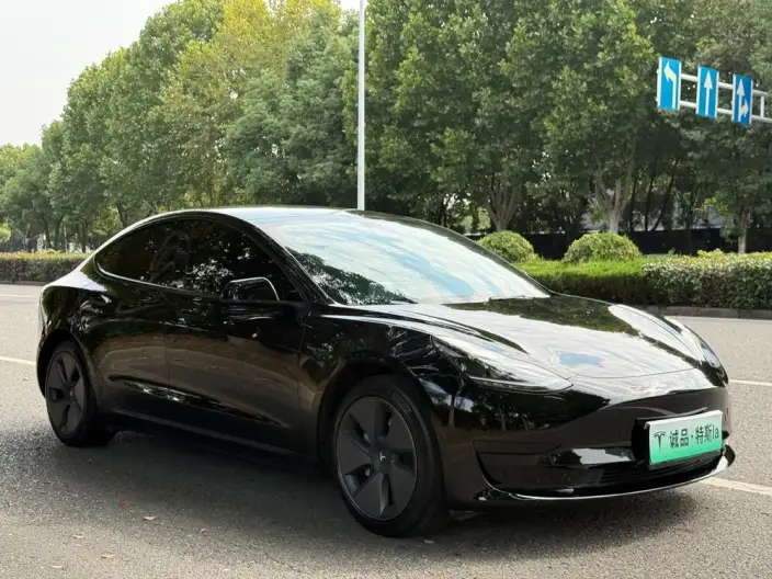 Model 3 2022 Model Rear-wheel drive version – фото 3