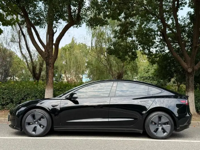 Model 3 2022 Model Rear-wheel drive version – фото 4