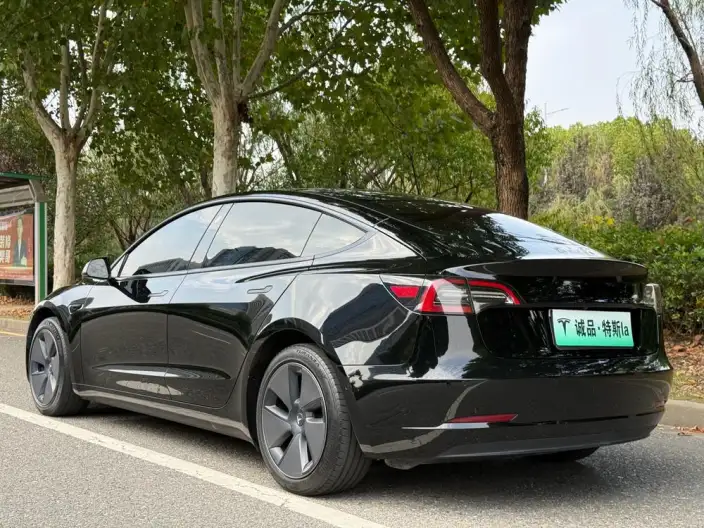 Model 3 2022 Model Rear-wheel drive version – фото 5