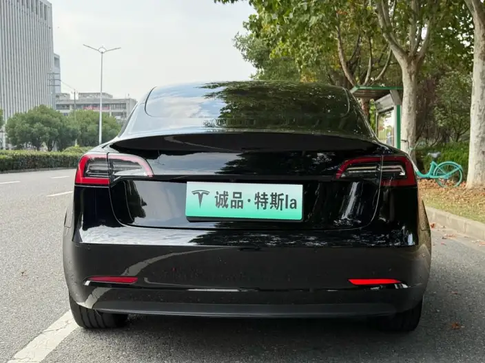Model 3 2022 Model Rear-wheel drive version – фото 6
