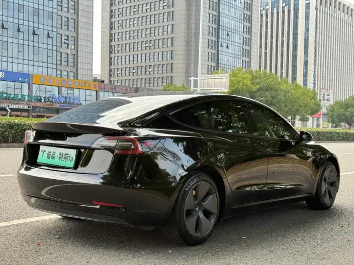 Model 3 2022 Model Rear-wheel drive version – фото 7