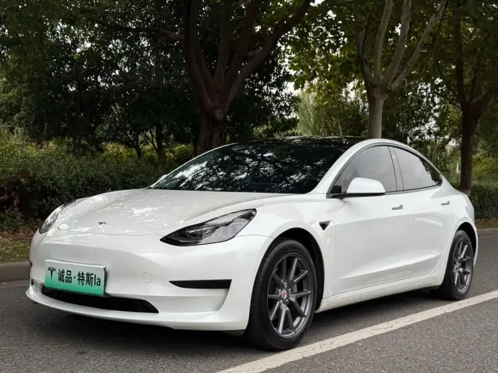 Model 3 2022 Model Rear-wheel drive version – фото 1