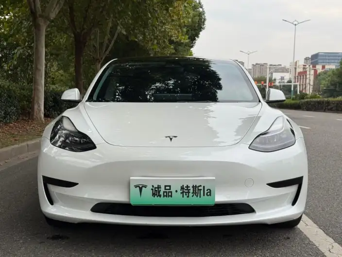 Model 3 2022 Model Rear-wheel drive version – фото 2