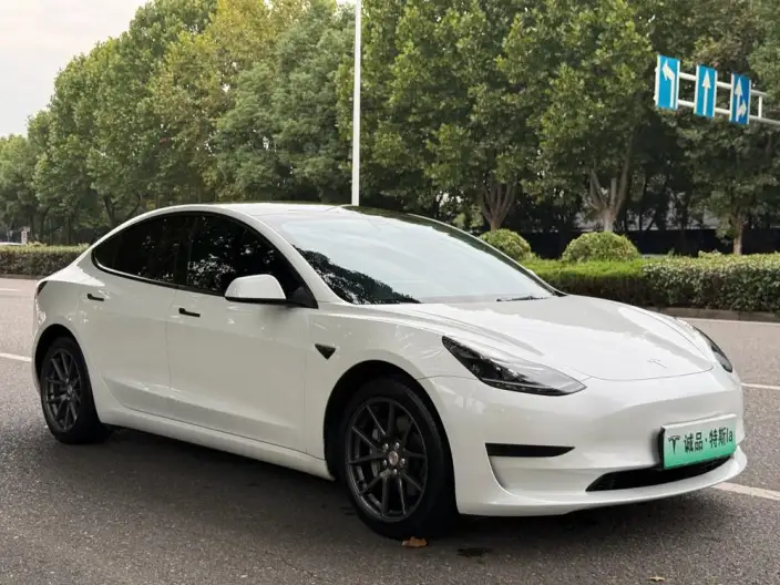 Model 3 2022 Model Rear-wheel drive version – фото 3
