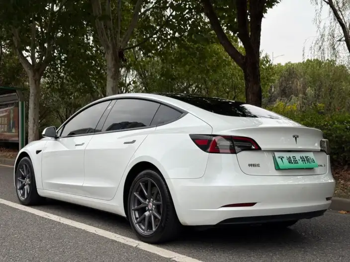 Model 3 2022 Model Rear-wheel drive version – фото 5