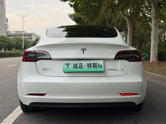 Model 3 2022 Model Rear-wheel drive version – фото 6