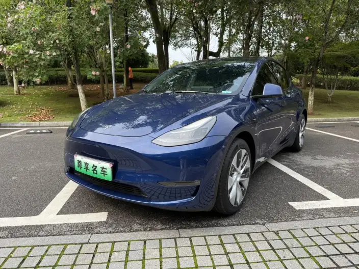 Model Y 2022 Model Long Battery Life Pro All-wheel drive version – фото 1