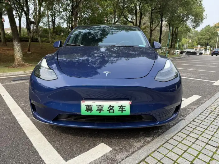 Model Y 2022 Model Long Battery Life Pro All-wheel drive version – фото 2