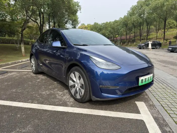 Model Y 2022 Model Long Battery Life Pro All-wheel drive version – фото 3