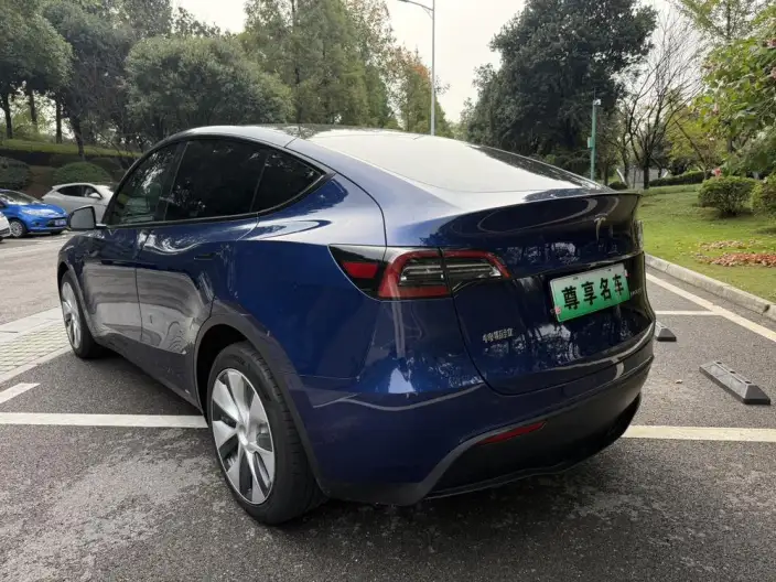 Model Y 2022 Model Long Battery Life Pro All-wheel drive version – фото 5