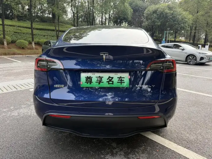 Model Y 2022 Model Long Battery Life Pro All-wheel drive version – фото 6