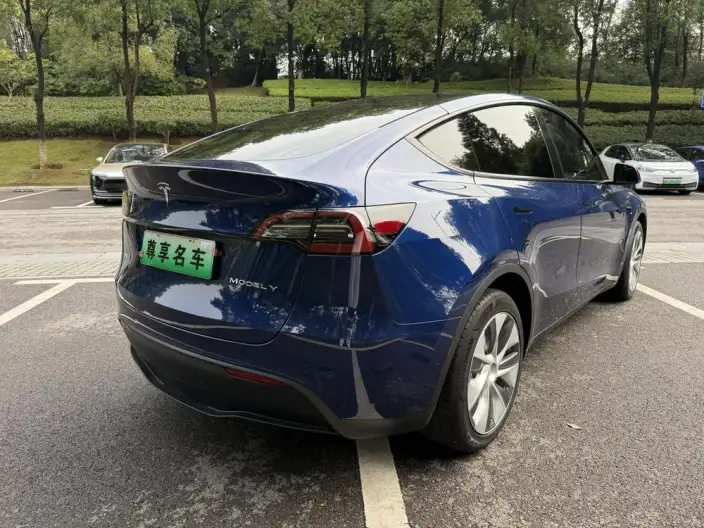 Model Y 2022 Model Long Battery Life Pro All-wheel drive version – фото 7