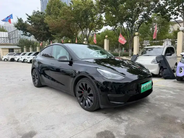 Model Y 2022 Model Performance High performance All-wheel drive version – фото 3