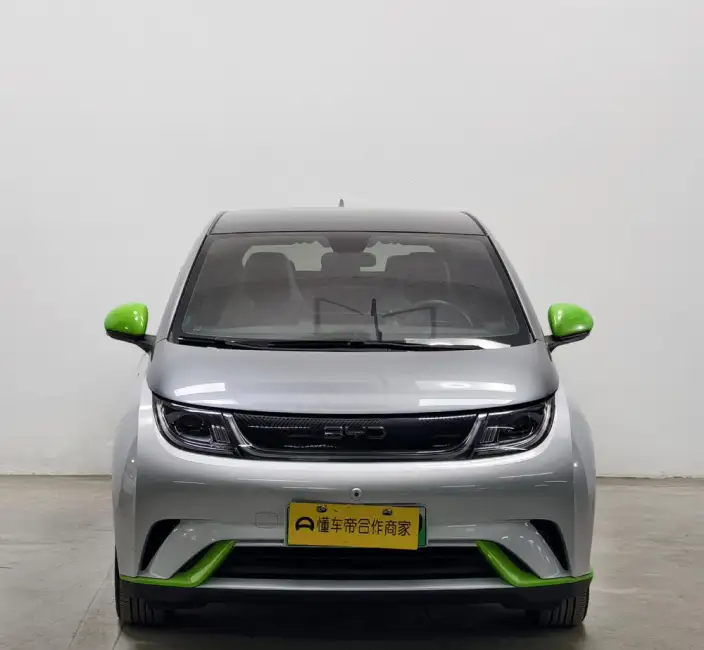 BYD Dolphin 2021 Model Fashion Edition – фото 2