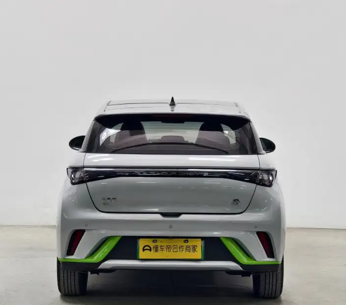 BYD Dolphin 2021 Model Fashion Edition – фото 6