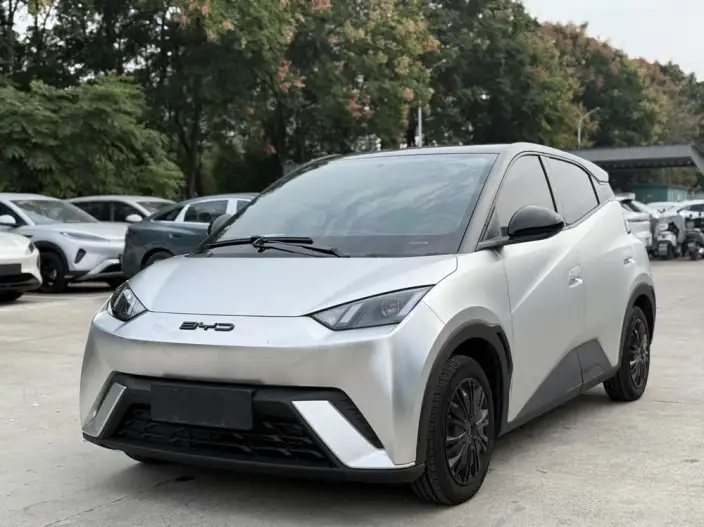BYD Seagull 2023 Model Vitality Edition – фото 1