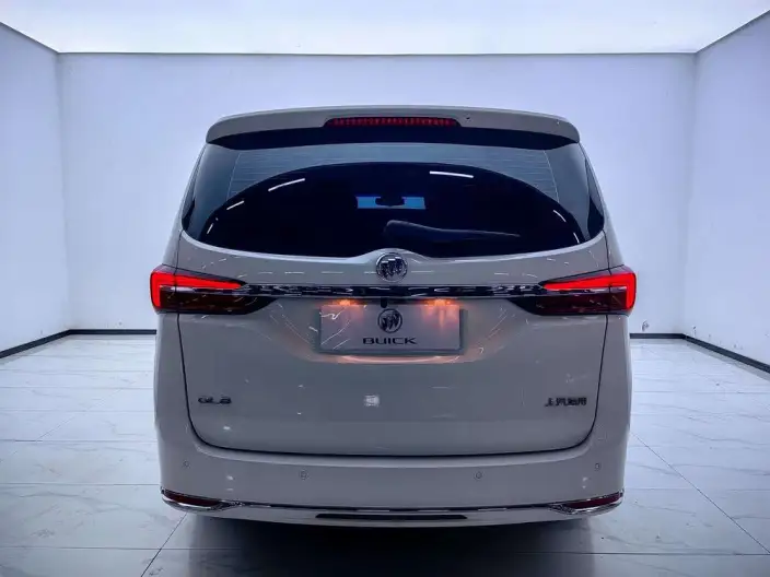 Buick GL8 2023 Model Business class 2.0T Comfort Model – фото 5