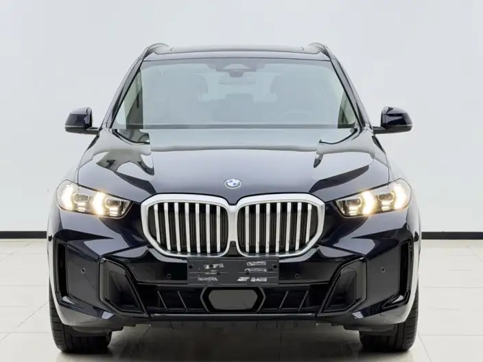 BMW X5 2023 Model xDrive30Li M Sports Set – фото 2