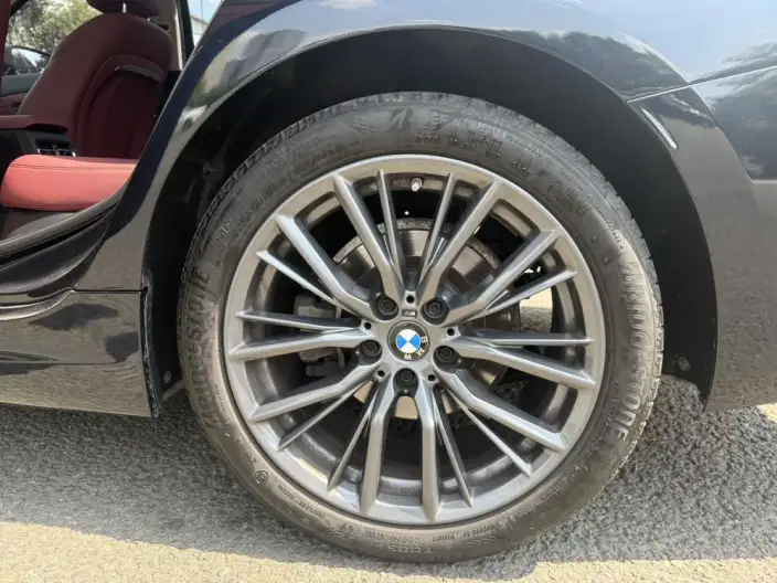BMW 3 Series 2023 Model 325Li M Sports Night Set – фото 7