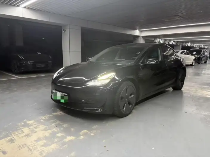 Model 3 2022 Model Rear-wheel drive version – фото 1