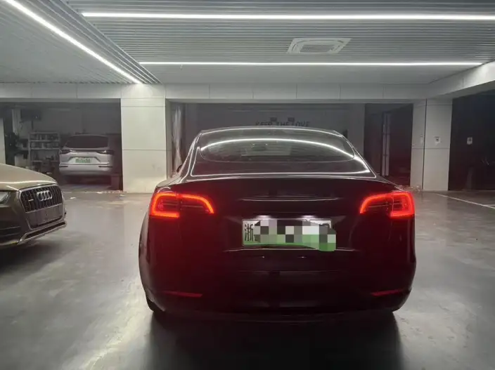 Model 3 2022 Model Rear-wheel drive version – фото 5