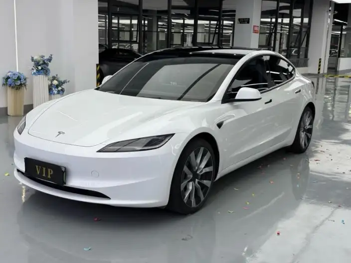 Model 3 2025 Model Rear-wheel drive version – фото 1