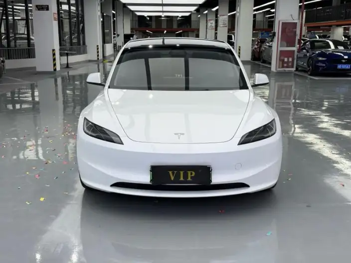 Model 3 2025 Model Rear-wheel drive version – фото 2