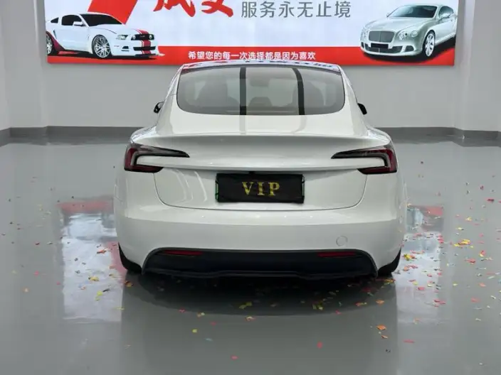 Model 3 2025 Model Rear-wheel drive version – фото 6