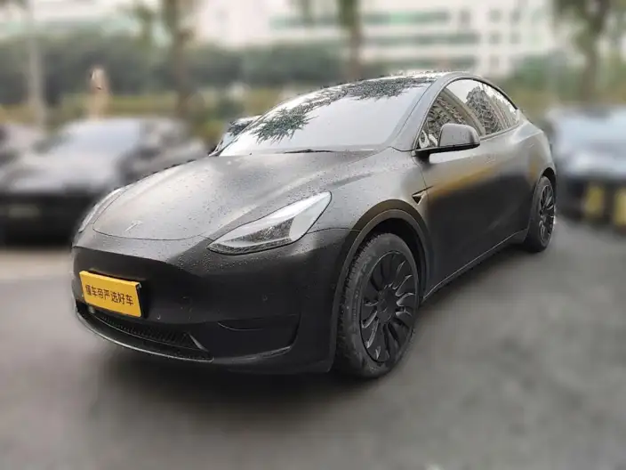 Model Y 2022 Model Facelift Rear-wheel drive version – фото 1