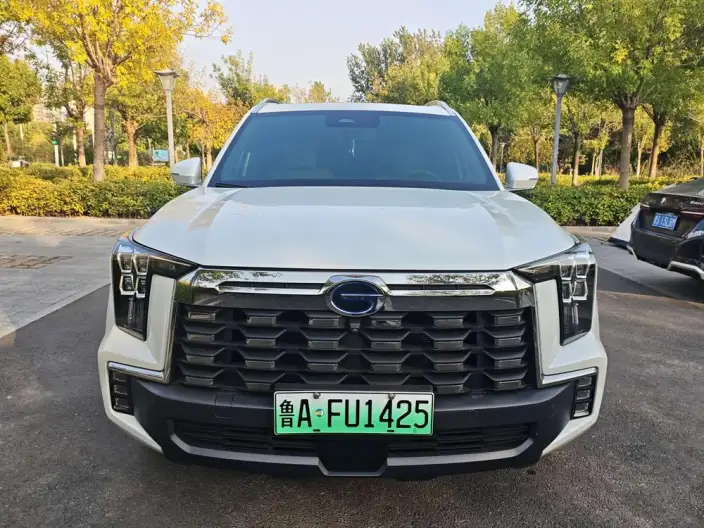 GAC ES9 PHEV 2024 Model 143km Traveler Max