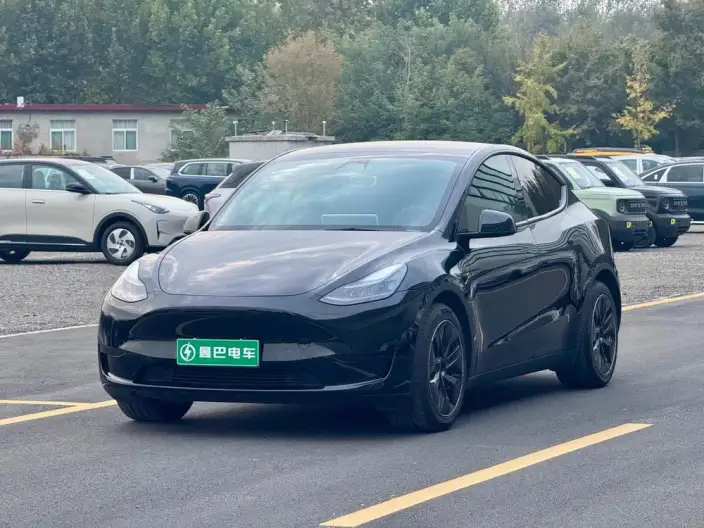 Model Y 2022 Model Rear-wheel drive version – фото 1