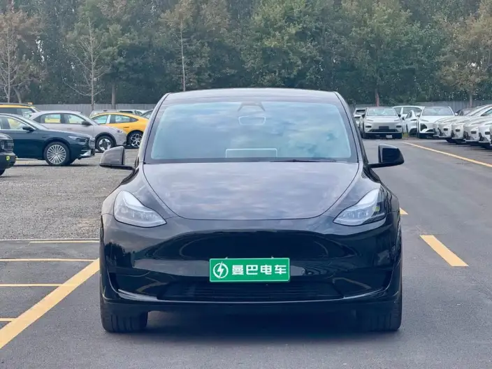 Model Y 2022 Model Rear-wheel drive version – фото 2