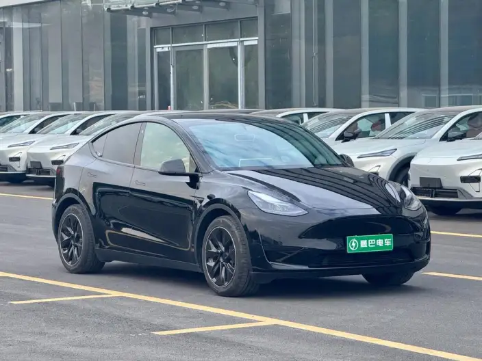 Model Y 2022 Model Rear-wheel drive version – фото 3
