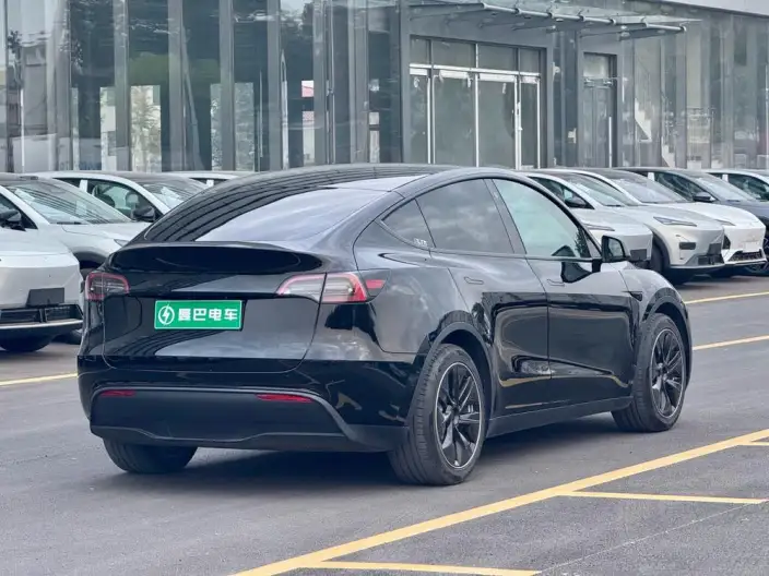 Model Y 2022 Model Rear-wheel drive version – фото 6