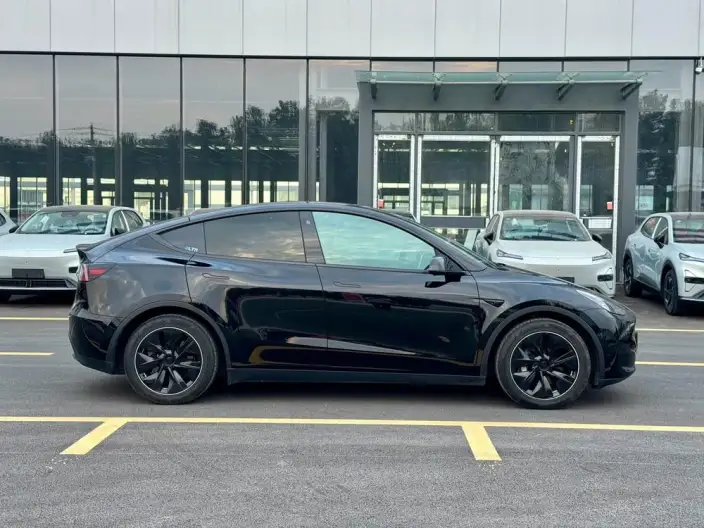 Model Y 2022 Model Rear-wheel drive version – фото 7
