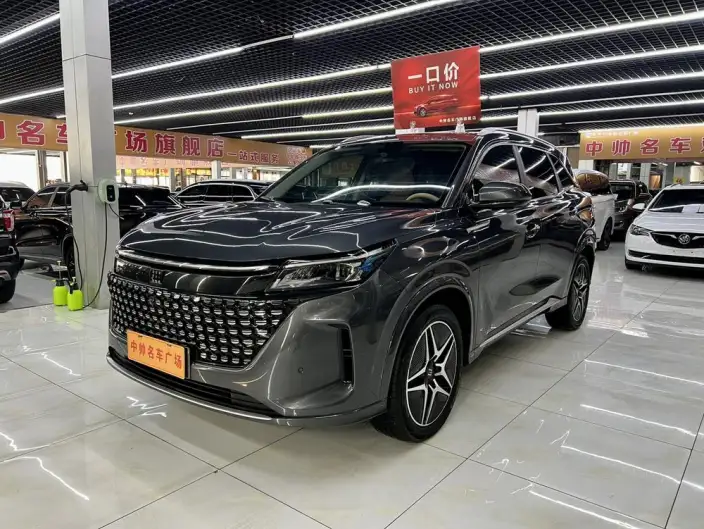 Blue Electric E5 2024 Model Honor Edition 100km Zhen Xiang Model – фото 1