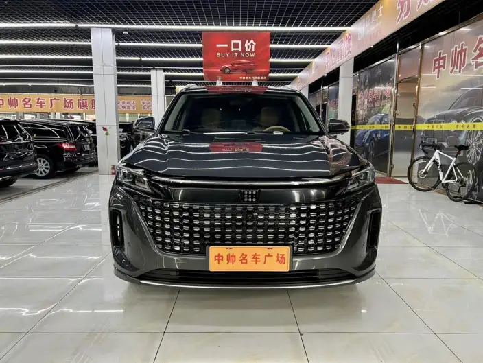 Blue Electric E5 2024 Model Honor Edition 100km Zhen Xiang Model – фото 2