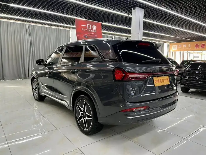 Blue Electric E5 2024 Model Honor Edition 100km Zhen Xiang Model – фото 4