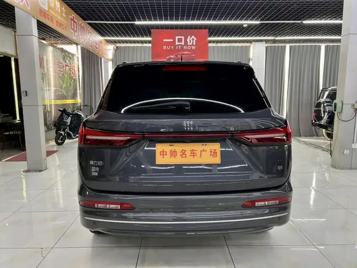 Blue Electric E5 2024 Model Honor Edition 100km Zhen Xiang Model – фото 5