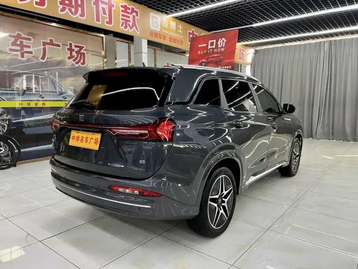Blue Electric E5 2024 Model Honor Edition 100km Zhen Xiang Model – фото 6