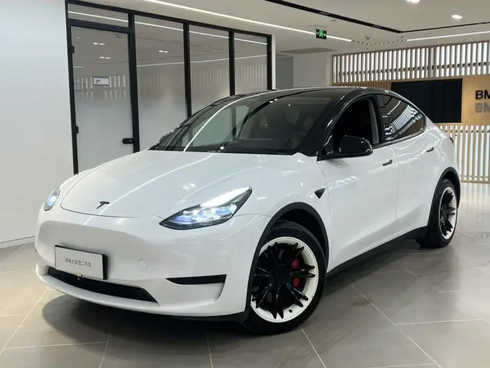 Model Y 2022 Model Facelift Rear-wheel drive version – фото 1