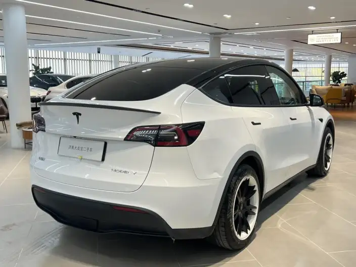 Model Y 2022 Model Facelift Rear-wheel drive version – фото 6