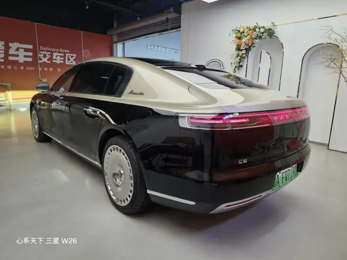 Zunjie S800 2025 Model Extended Range Star Edition Executive Edition 4 seat – фото 4