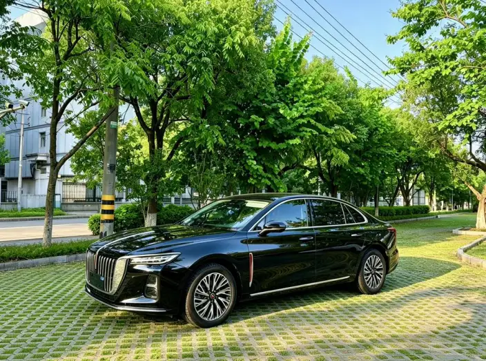 Hongqi H5 2024 Model 1.5T DCT Flag Rhythm Edition – фото 1