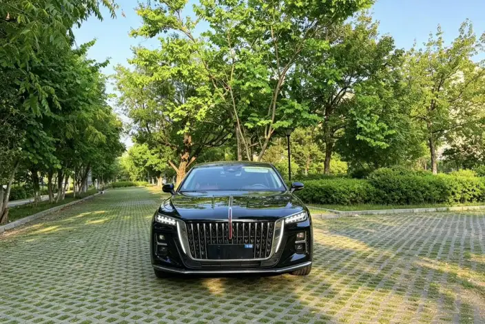 Hongqi H5 2024 Model 1.5T DCT Flag Rhythm Edition – фото 2