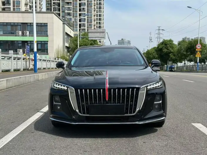 Hongqi H5 2024 Model 1.5T DCT Flag Rhythm Edition – фото 2