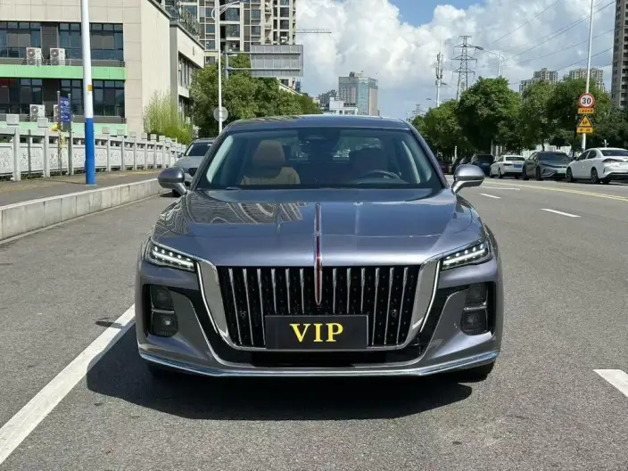 Hongqi H5 2024 Model 2.0T Automatic Flag Enjoy Edition – фото 2