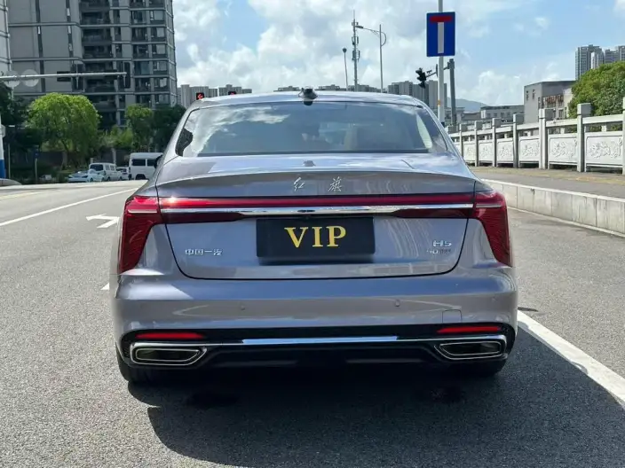 Hongqi H5 2024 Model 2.0T Automatic Flag Enjoy Edition – фото 5